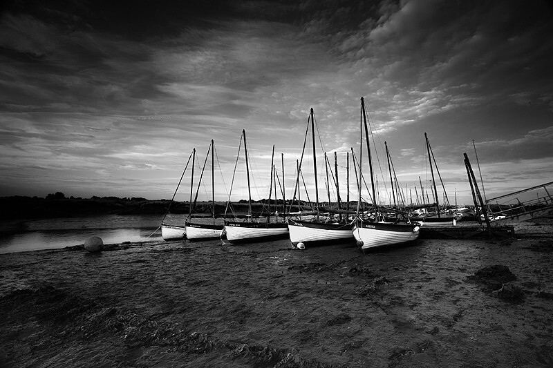  - Peer into the Darkness (coast)