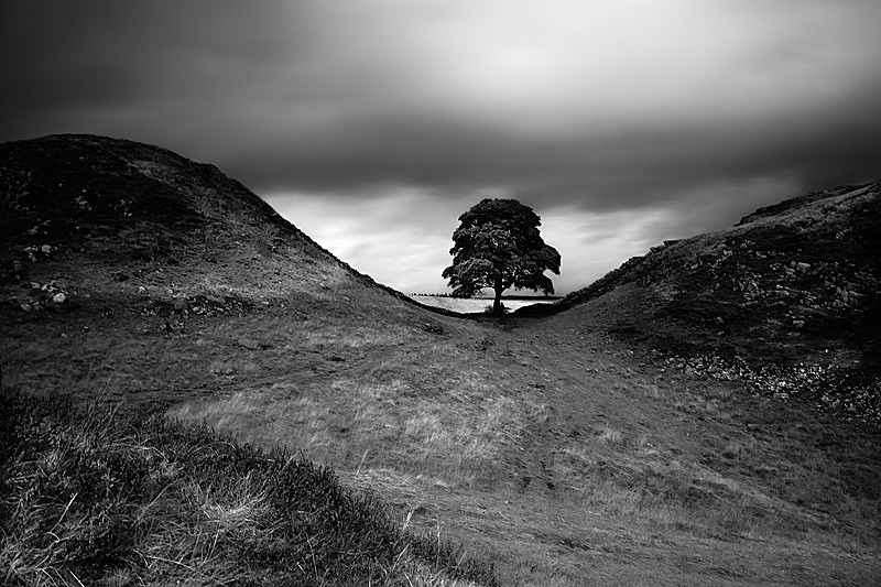  - Peer into the Darkness (inland)