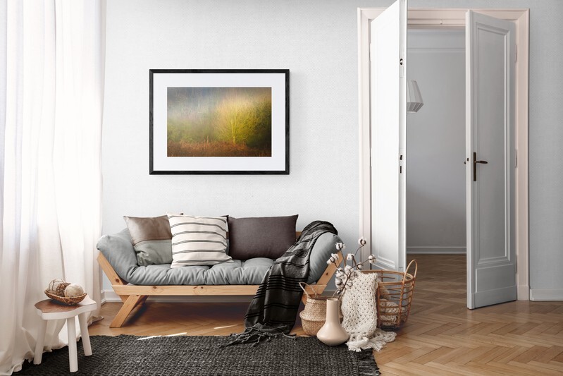  - Shard of Light in Woodland