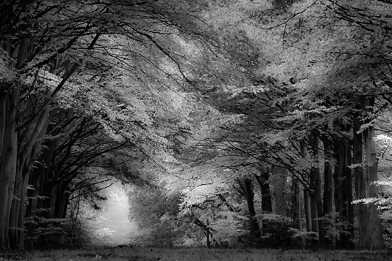  - Peer into the Darkness (inland)