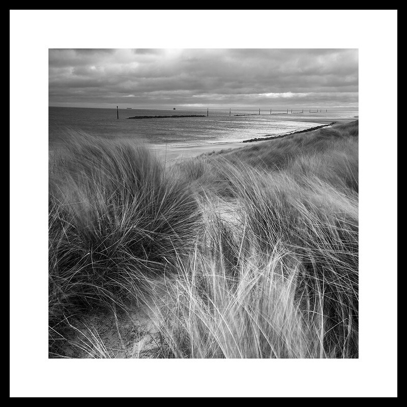  - Coastal Grasses