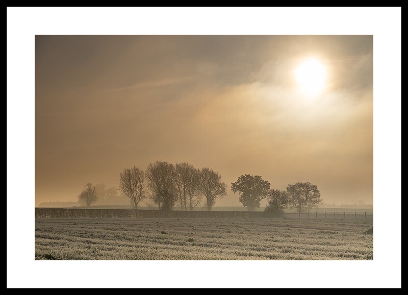 Winter Sun Fine art photography by The Silent Photographer