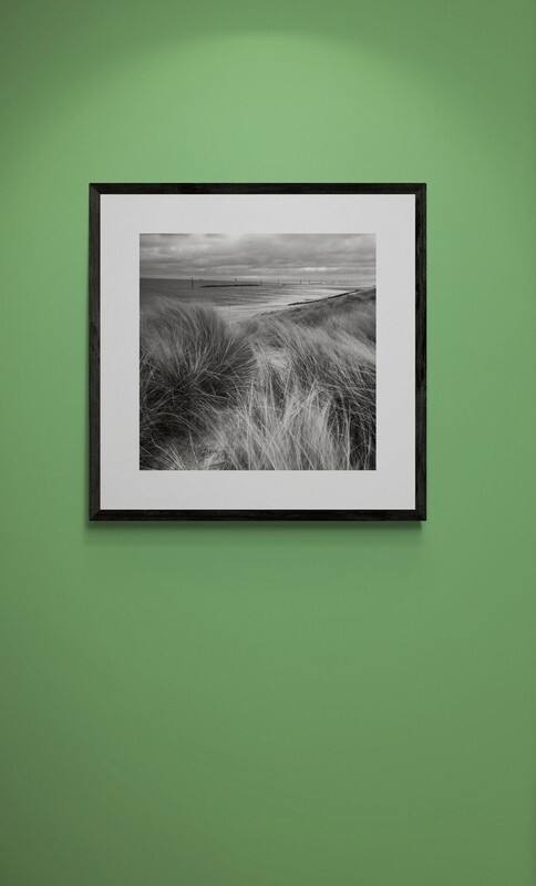  - Coastal Grasses