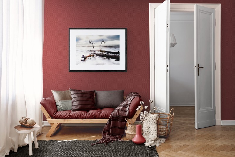  - Fallen Trees in the Ocean