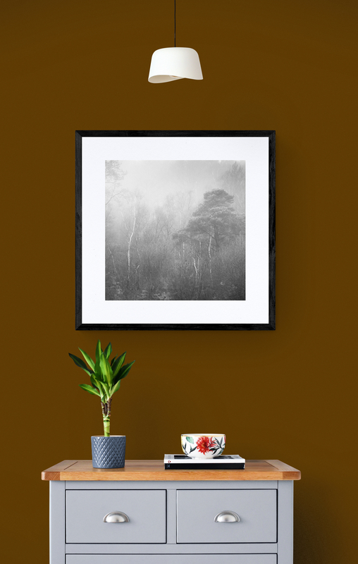  - Woodland Shapes