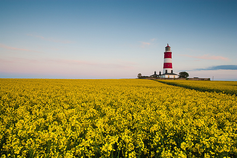 Norfolk coast landscape photography from Happisburgh Lighthouse
