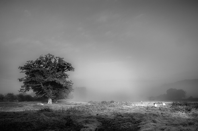 - Peer into the Darkness (inland)