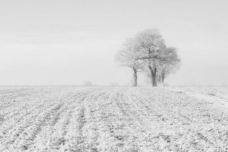  - Squint into the Light (inland)
