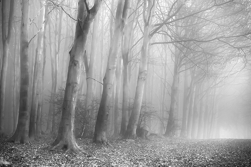  - Squint into the Light (inland)