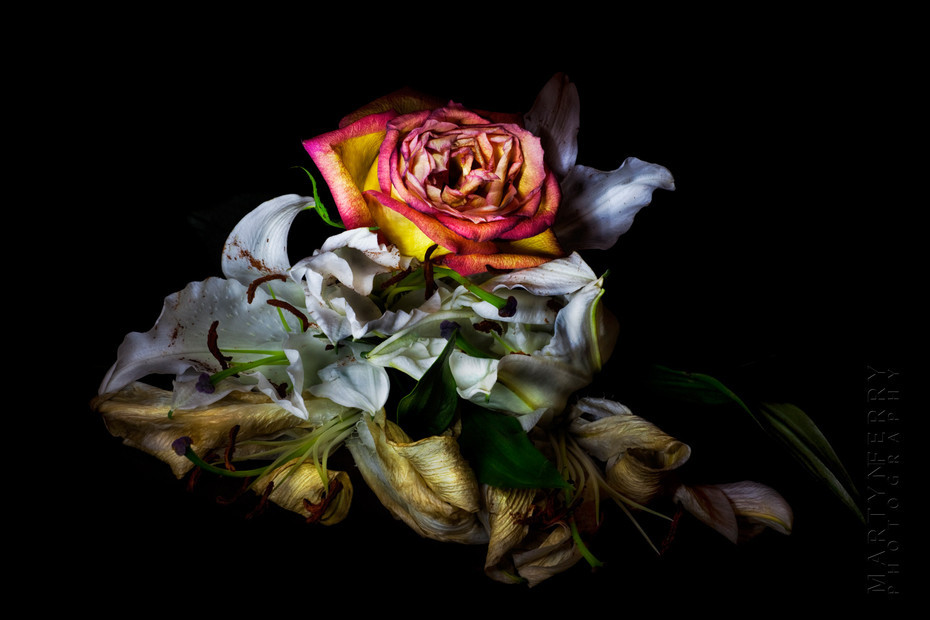 Fine art flower photography of a rose and lillies