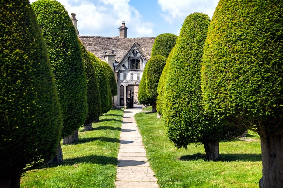 Yew trees line the path to the Lych Gate in Painswick