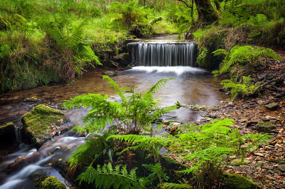 Picturesque little waterfall near Simonsbath in Exmoor
