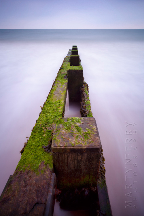 Coastal image from Swanage of seaweed covered groyne