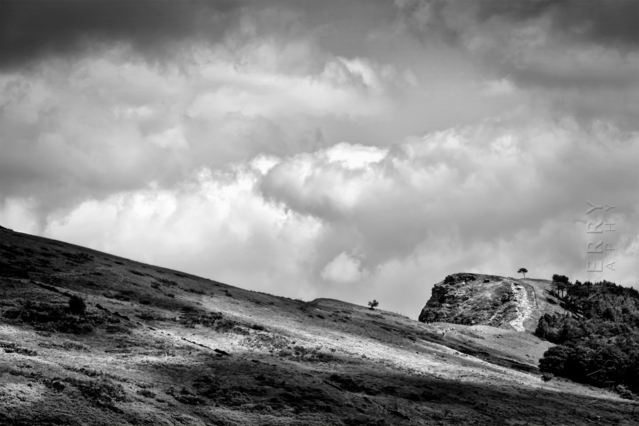 Photograph of distant trees on a hill in Hope Valley