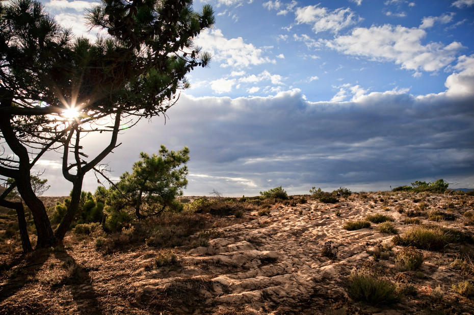 Evening sunshine on sand dunes