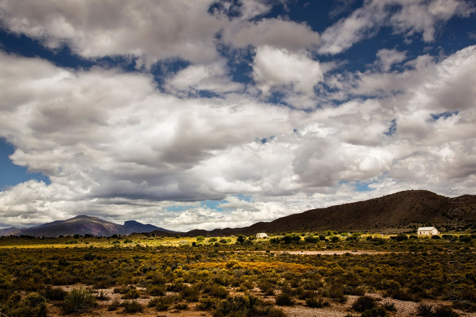 Landscape photo of the South African plains