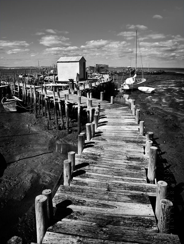 Carrasqueira pier in black and white