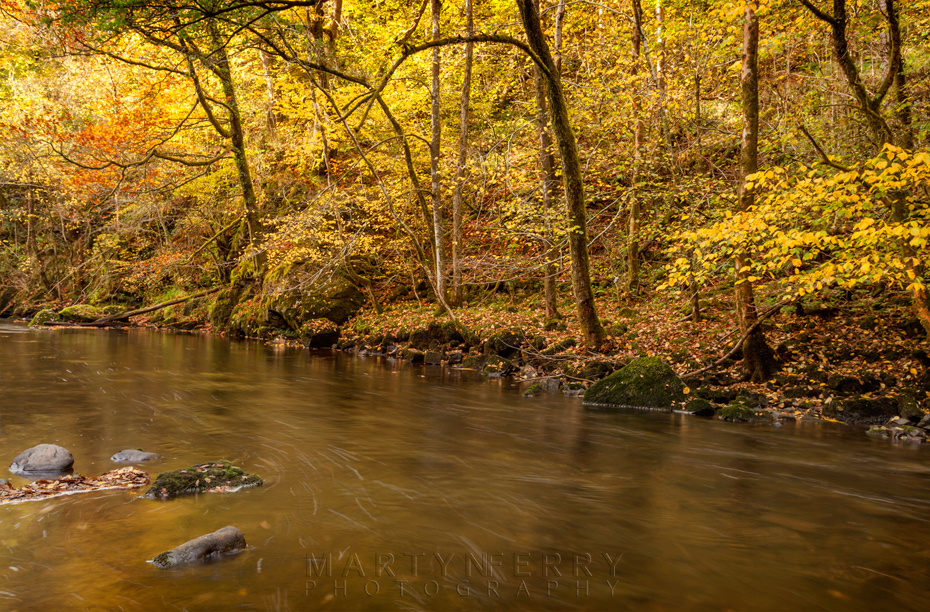 Autumn gold on the Afon Mellte