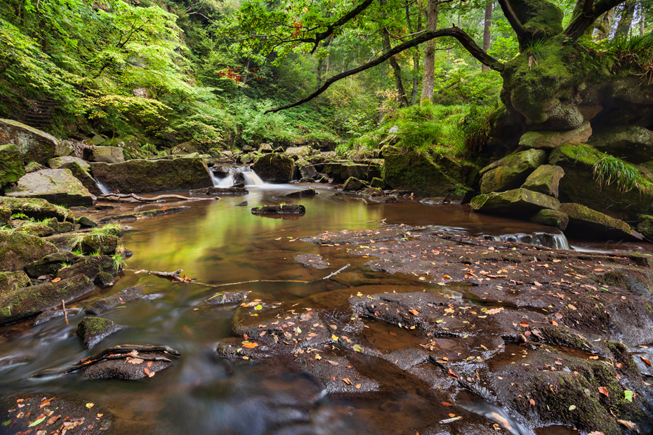 Woodland image of the beautiful river of West Beck at Goathland