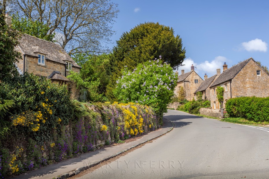 Guiting Power lane with spring flowers
