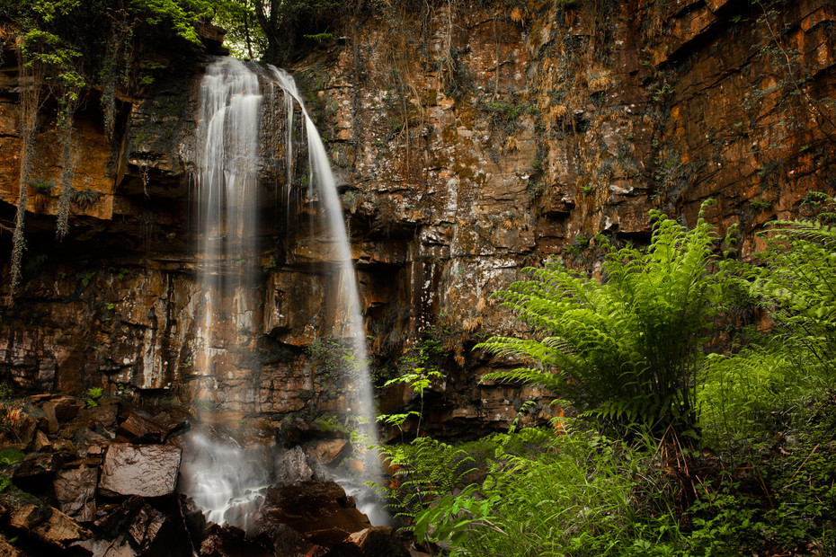 Image of Melincourt Falls in Wales with fern
