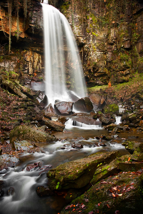 Beautiful image of Melincourt waterfall and surrounding woodland