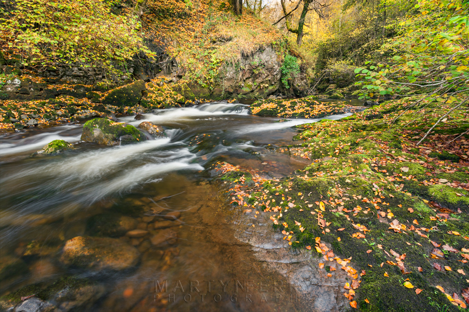 The Afon Mellte streams past under autumn colour
