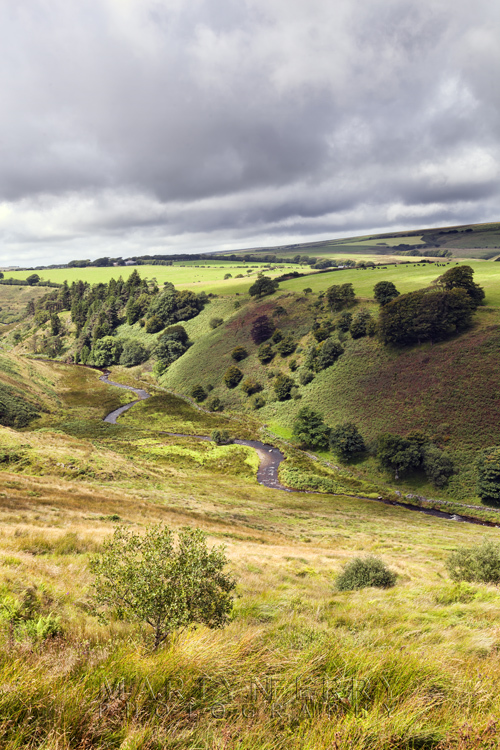 The Barle Valley near Simonsbath in the afternoon sunshine