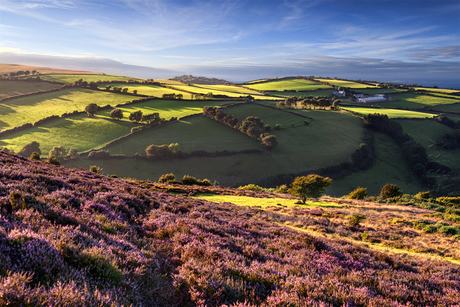 Beautiful light on the Exmoor landscape