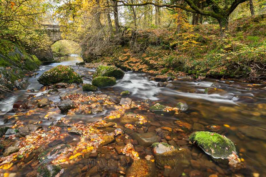 Stone bridge spans the Afon Mellte in Autumn