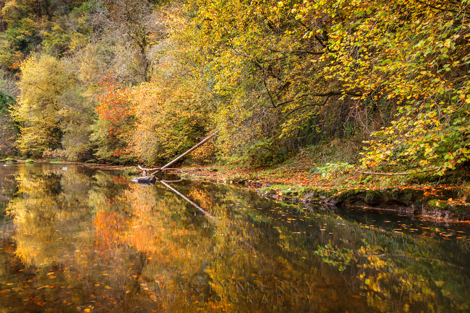 Autumn reflection on the Afon Mellte