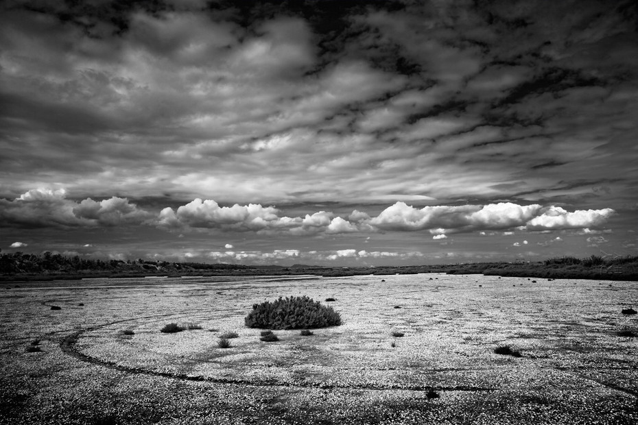 Stunning image of dry salt pan