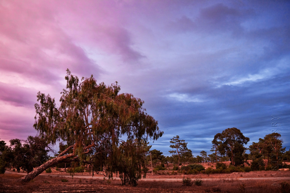 Stunning sunset clouds over Comporta village