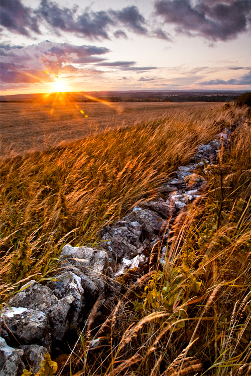 Photo of an ancient Cotswold stone wall at sunset