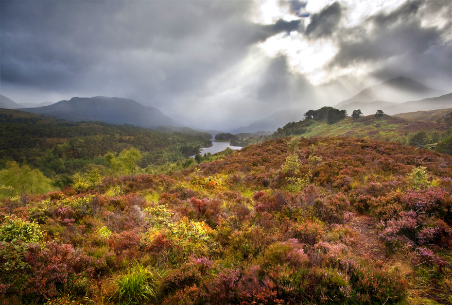 Stunning photo of Glen Affric under a stormy sky pierced with sunbeams