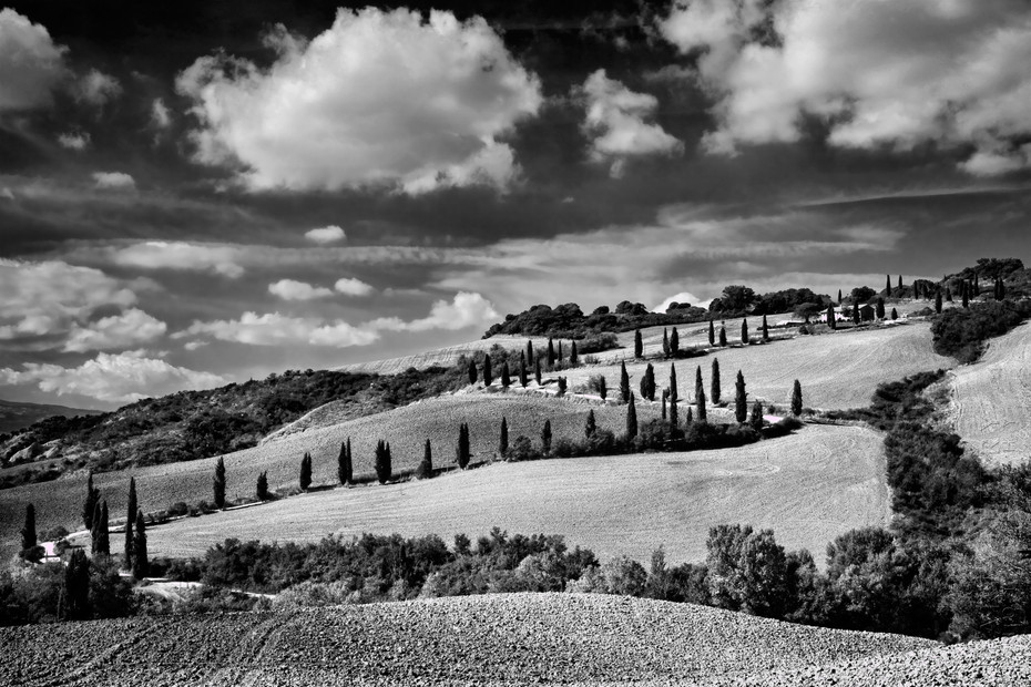 Cypress Curves - Italy