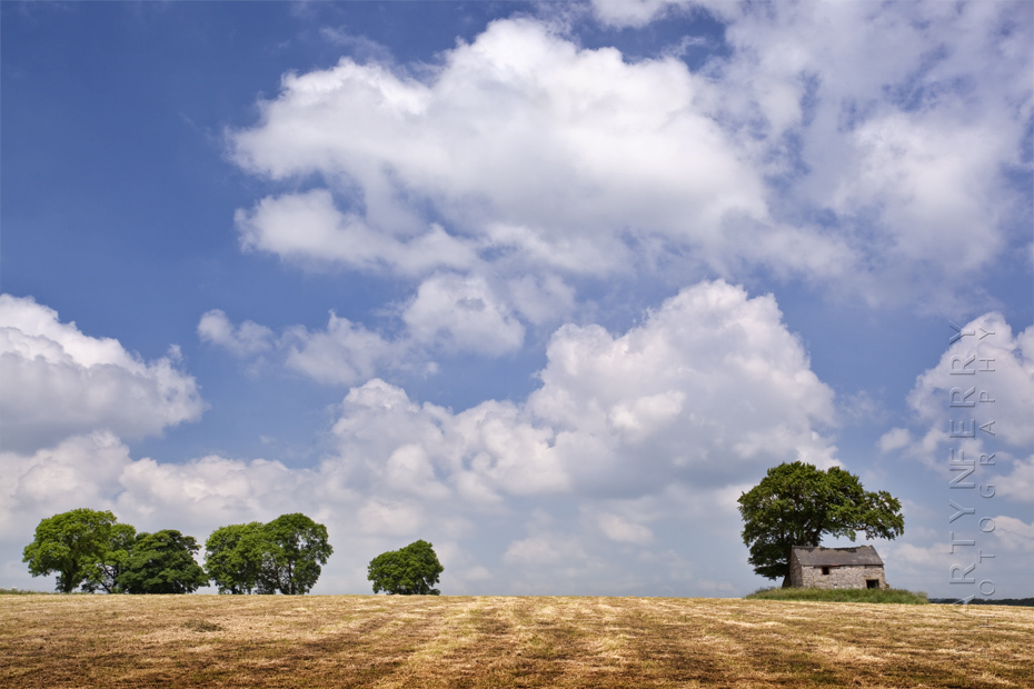 Old barn and trees under beautiful clouds