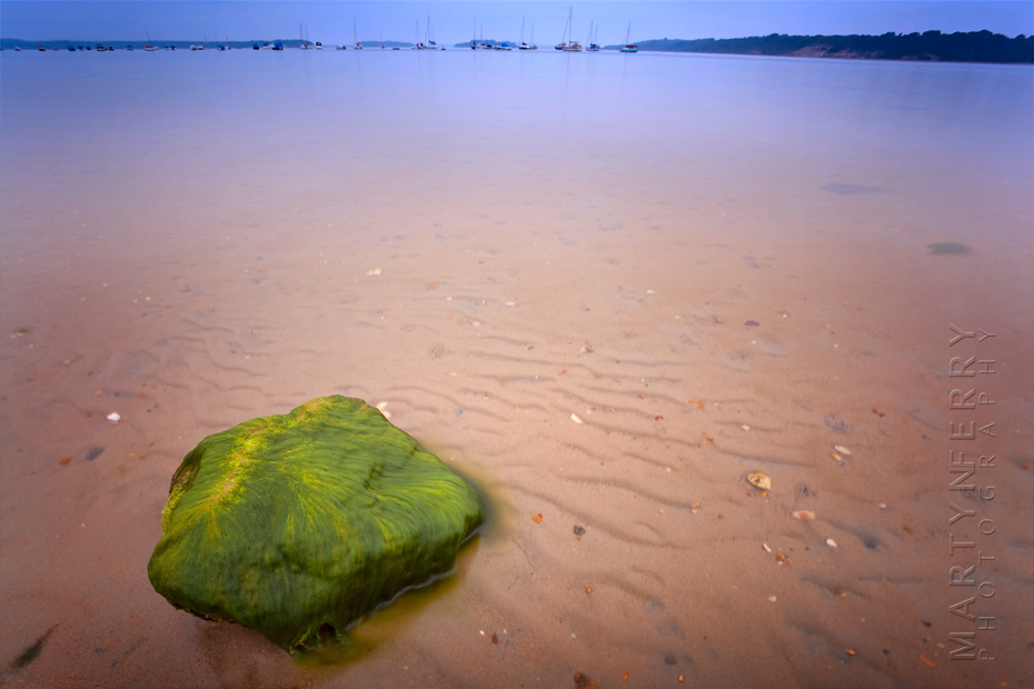 Fabulous hairy rock in Studland Bay with beautiful colours