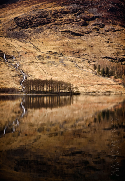 View of trees and mountain in the Lakes