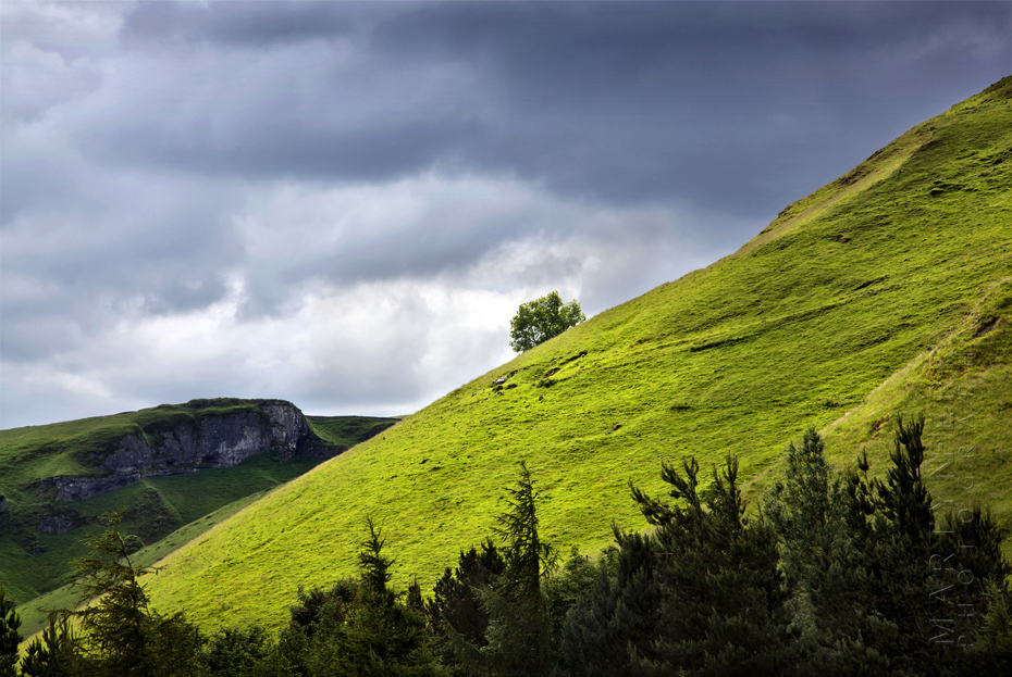Image of a lone tree on the slopes of Mam Tor under clouds