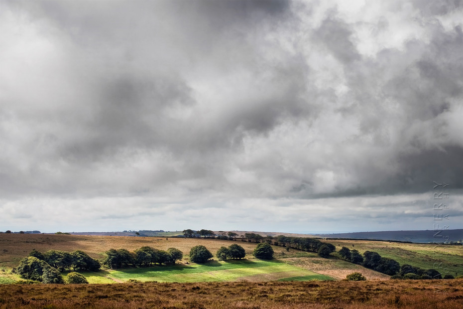 Sunlight on Exmoor under storm clouds