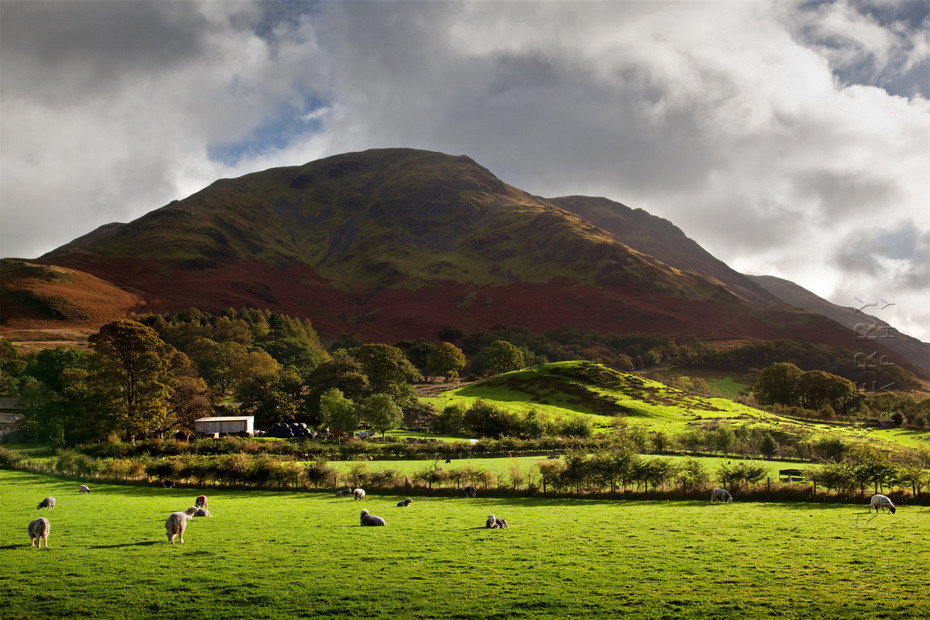 Red Pike at Buttermere in the morning sunlight