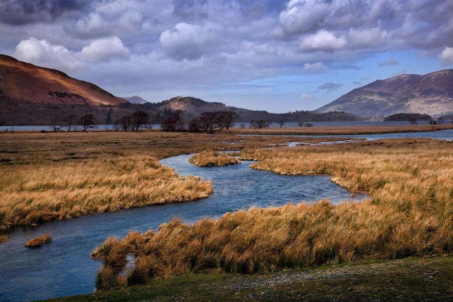 Stream winding through reeds at Derwentwater