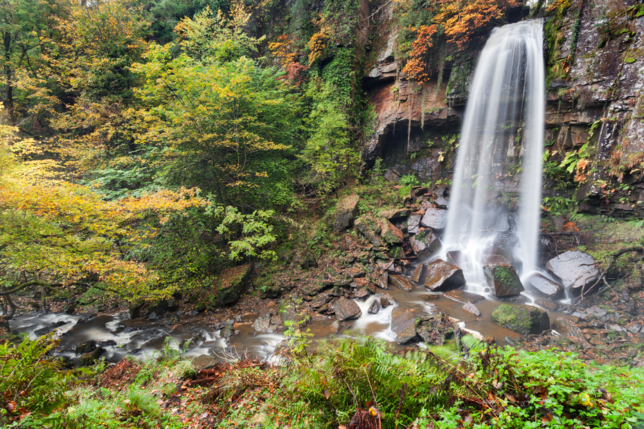 Melincourt Falls in Waterfall Country at autumn