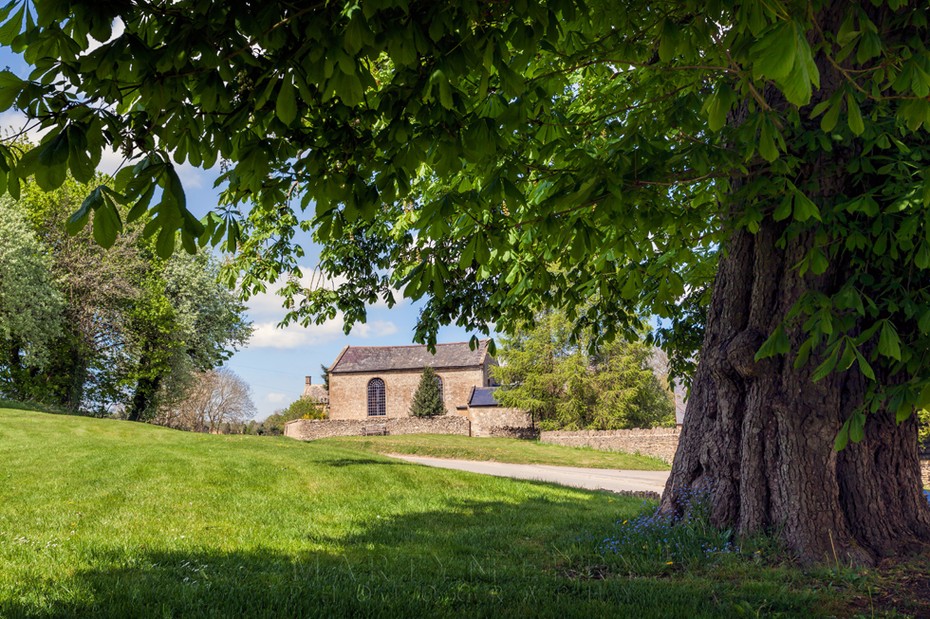 Guiting Power tree in the sunshine and warm stone houses