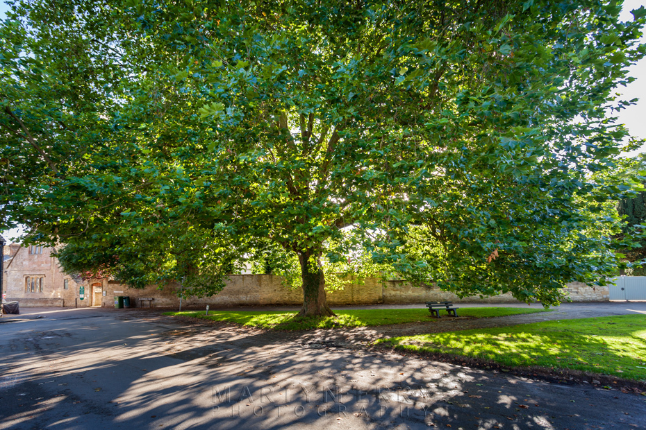 Bampton 19 - Bampton