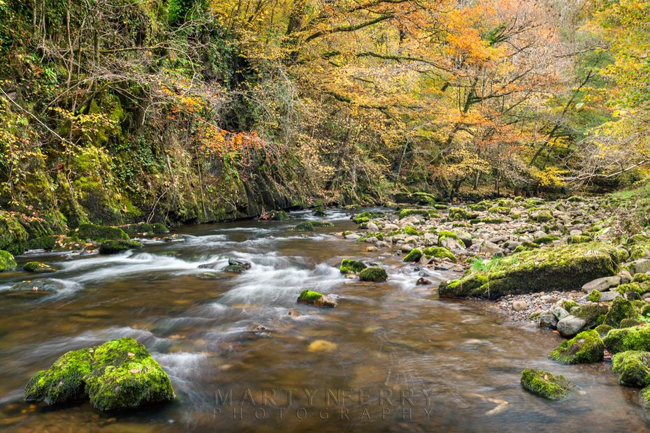 Looking along the River Mellte in autumn