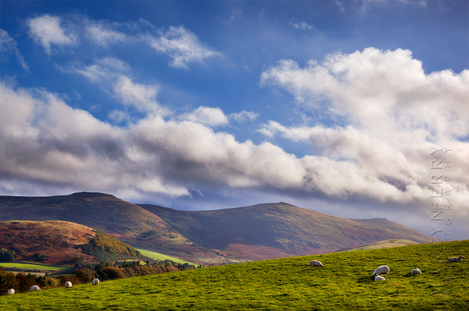 Autumn landscape colours on the Cheviot Hills in Northumberland