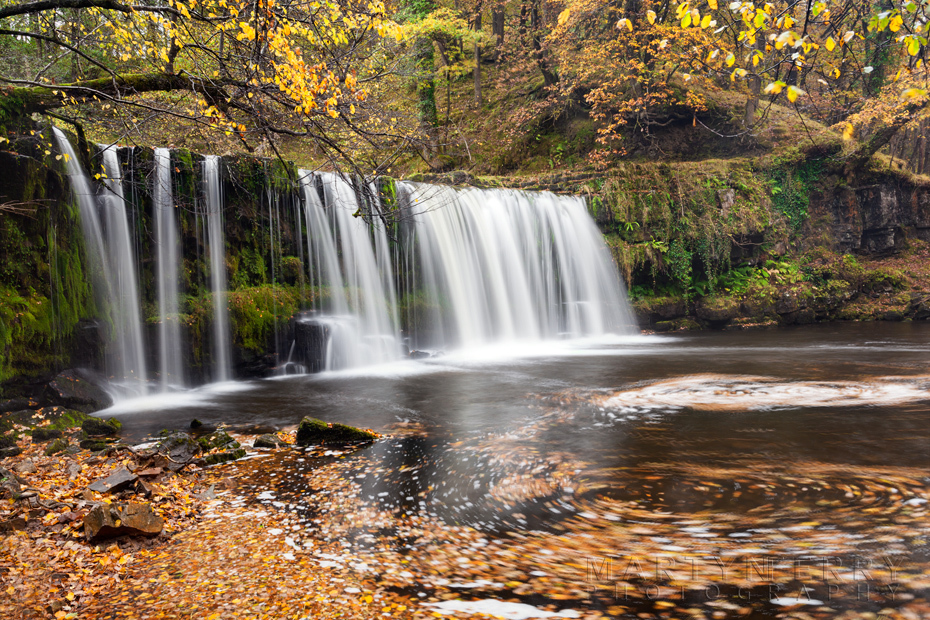 Autumn leaves swirl in the water under Upper Gushing Falls in Wales