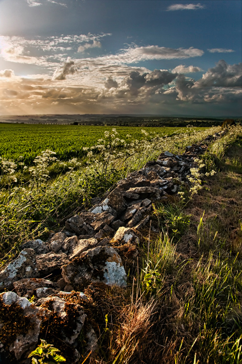 Landscape image of a stone wall and Cotswold view at sunset